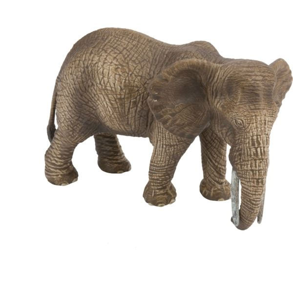 14761SCH Afrikanisches Elefantenkuh