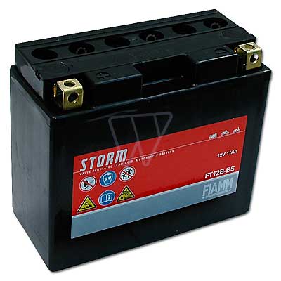 Batterie 12V 22Ah + Pol Links passend MTD RH 115/76 13D1452C600 Rasentraktor